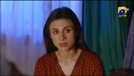 Saaya 2 - 25th May 2022